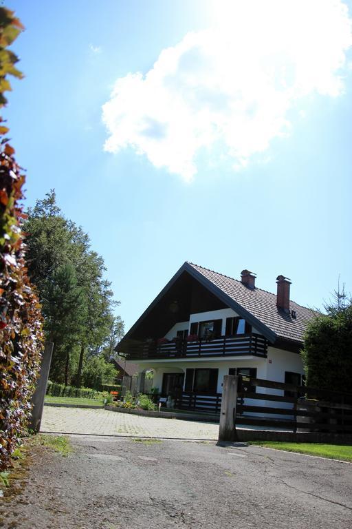 Lake House Apartment Medvode Exteriör bild